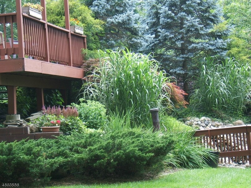 18 Joan Dr