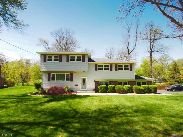 77 Springfield Ave