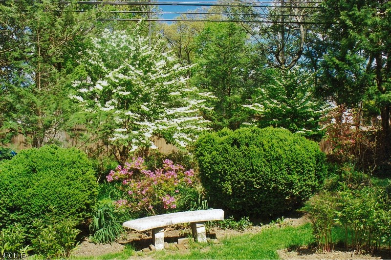 50 Crescent Dr
