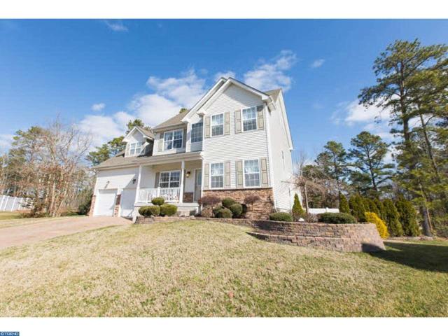 41 Lewis Dr
