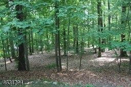 For Sale: 47 Haytown Rd Lebanon, NJ 08833
