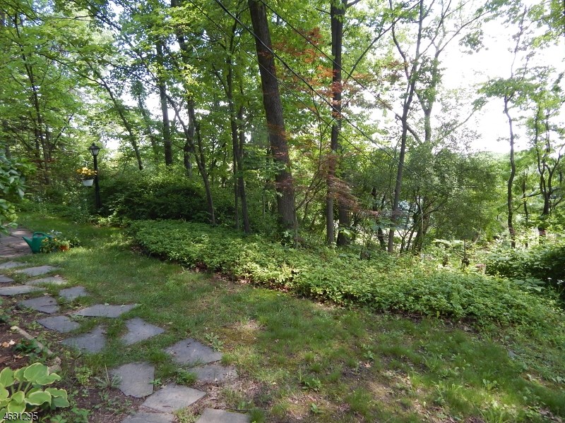For Sale: 79 E Mountain Rd Hillsborough, NJ 08844