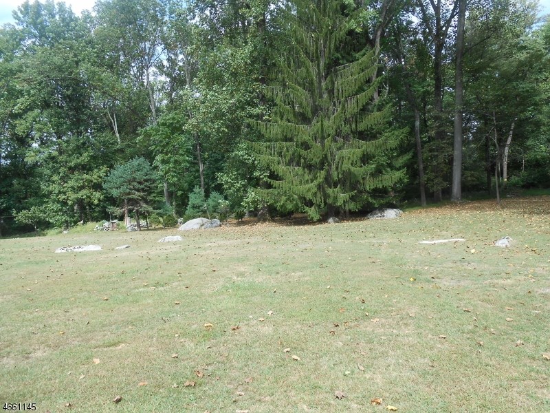 546 Ellis Rd
