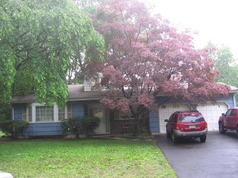 538 Henry St
