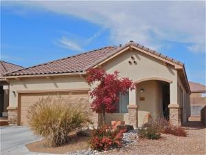 723 Desert Marigold