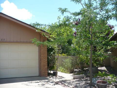 344 Buena Ventura Ct NE
