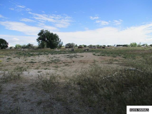 For Sale: 1100 Thompson Ln Fallon, NV 89406