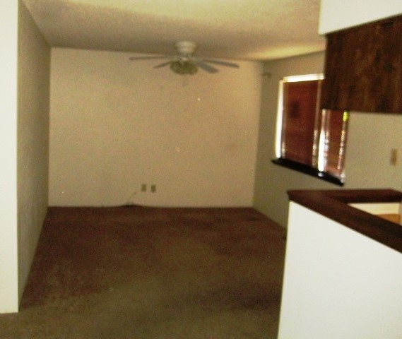27 S Amanda Sparks, NV 89436