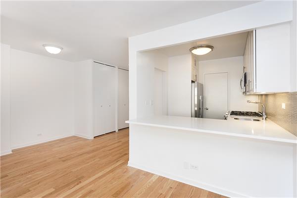 245 E 25th St #16-L