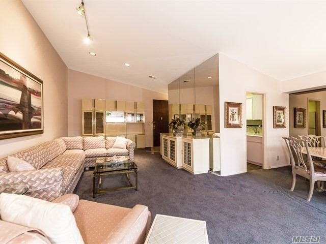 171 S Middle Neck Rd #3E