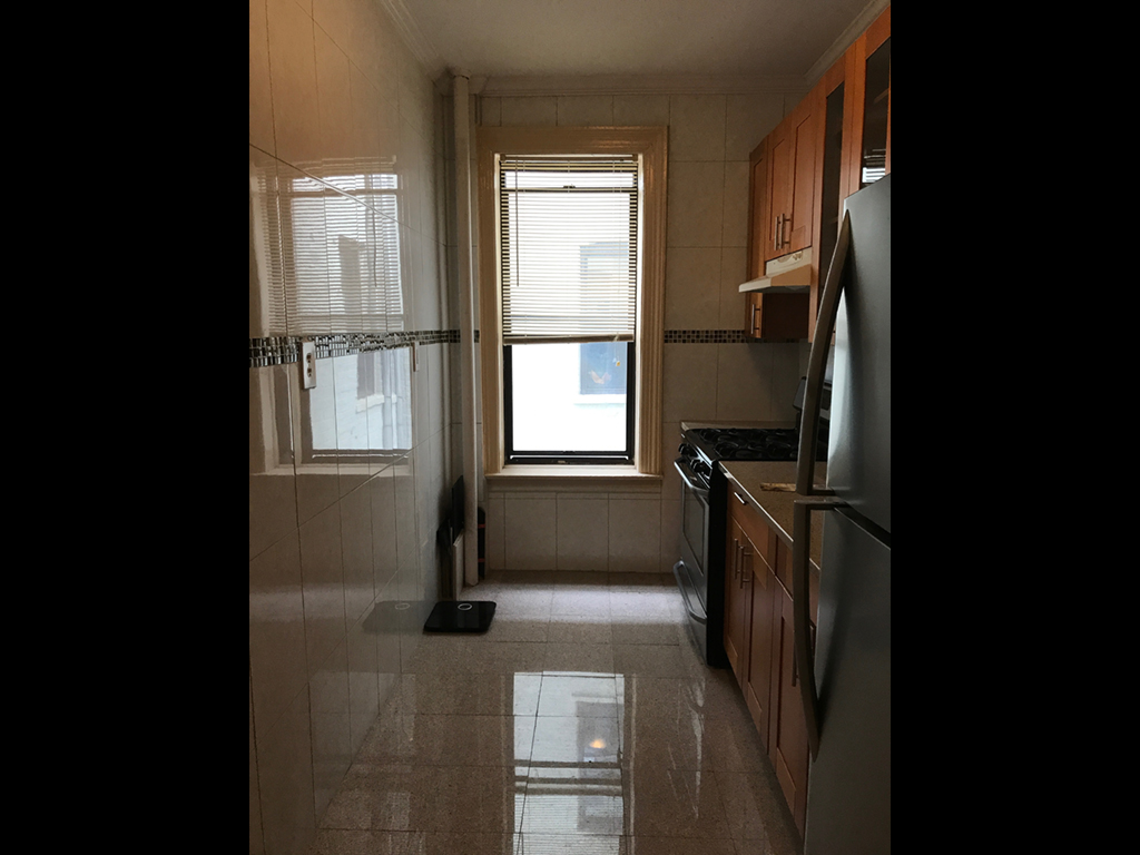 9524 Fort Hamilton Pkwy #206