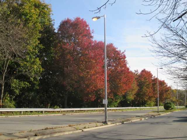 150 Rinaldi Blvd
