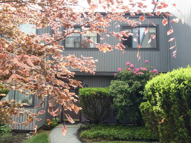 1805 Holly Walk