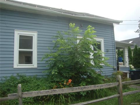 560 Walnut St