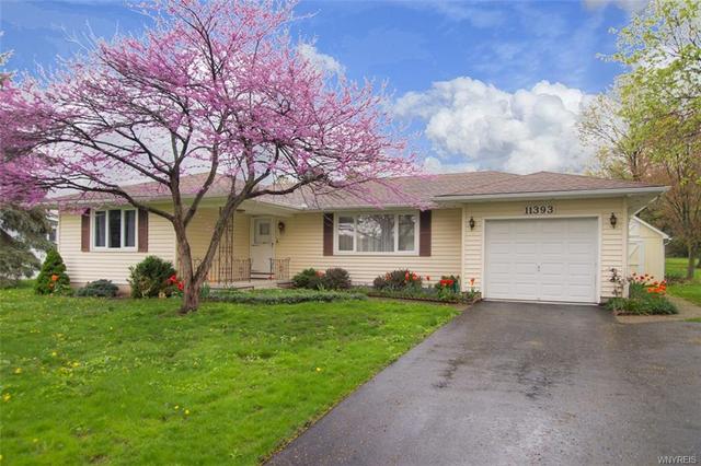 107 Patricia Dr