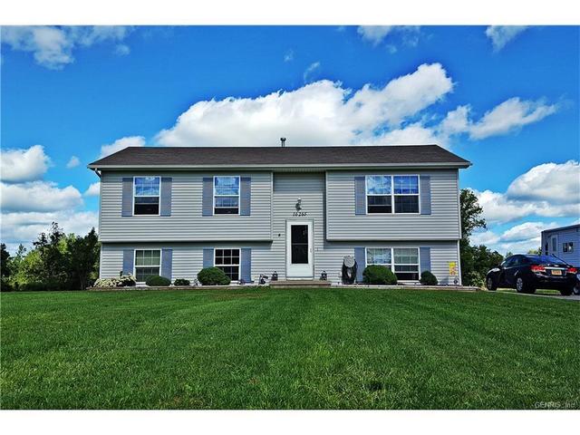 17223 Brockport Holley Rd