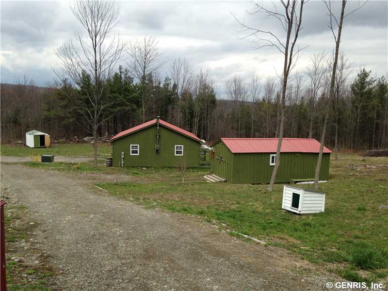 For Sale: 5215 Bald Hill Rd Livonia, NY 14487