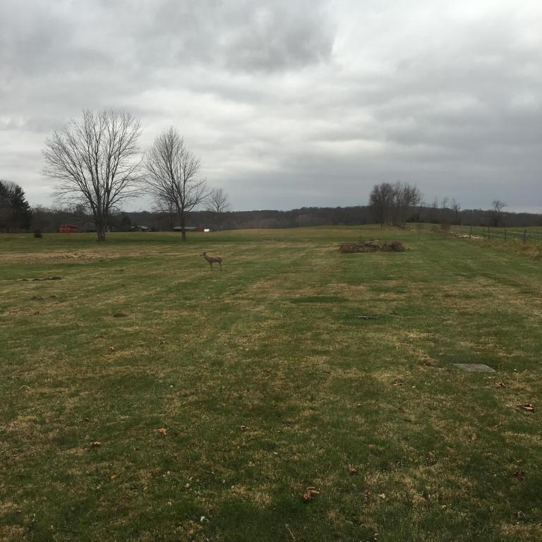 12493 State Route 188