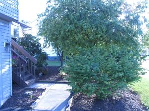 For Sale: 28 Ashton Dr Ashville, OH 43103