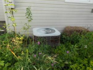 For Sale: 548 E Mound St Circleville, OH 43113