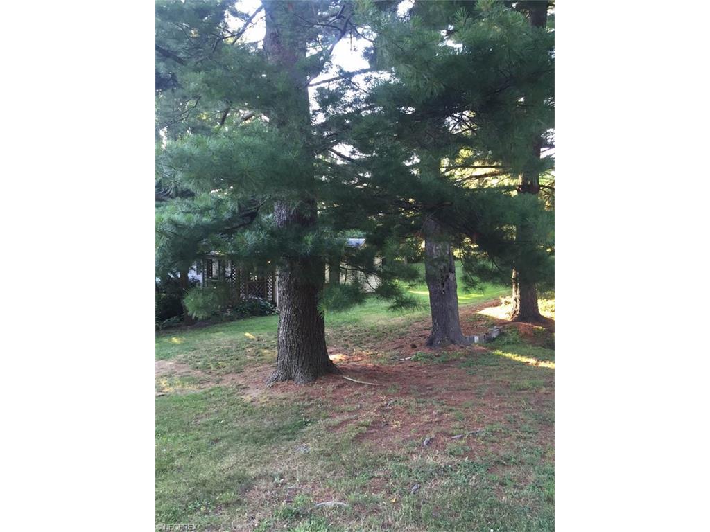 For Sale: 438 Second St Bethesda, OH 43719