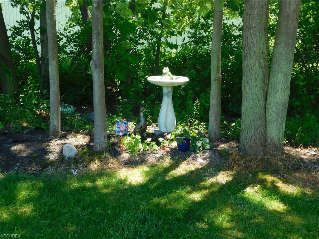 826 Wildberry Cir