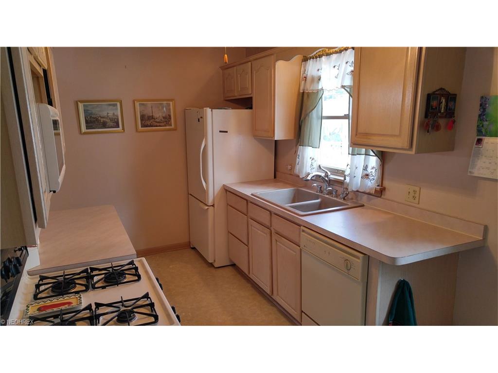 For Sale: 165 Brandtson Ave Elyria, OH 44035