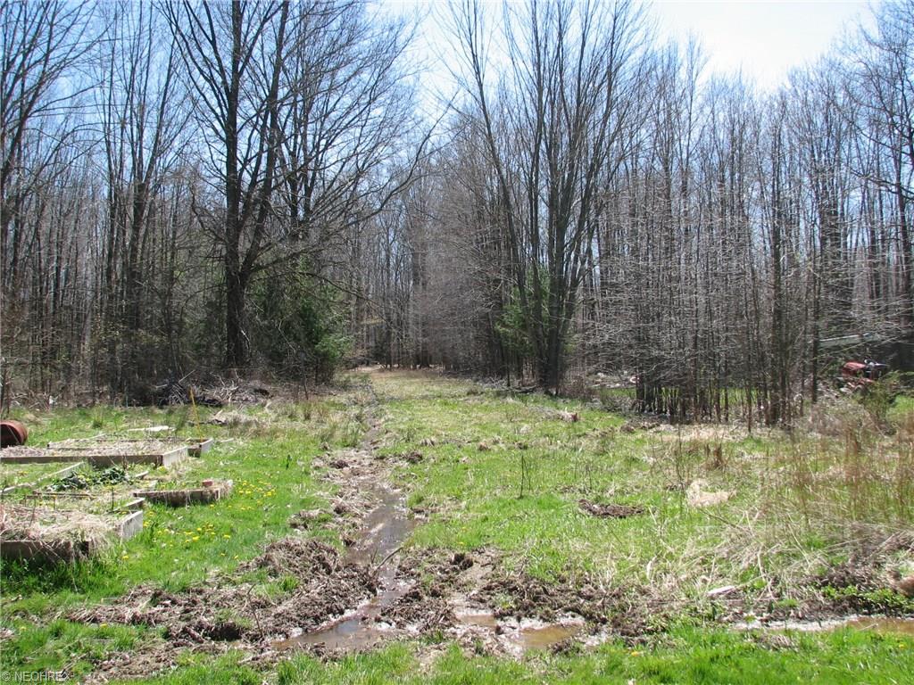 5154 New London Rd, Geneva OH 44041
