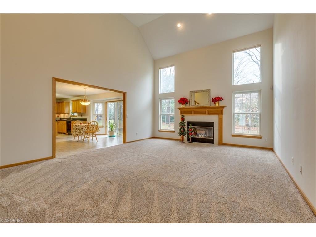 4660 White Angel Dr, Perry OH 44081