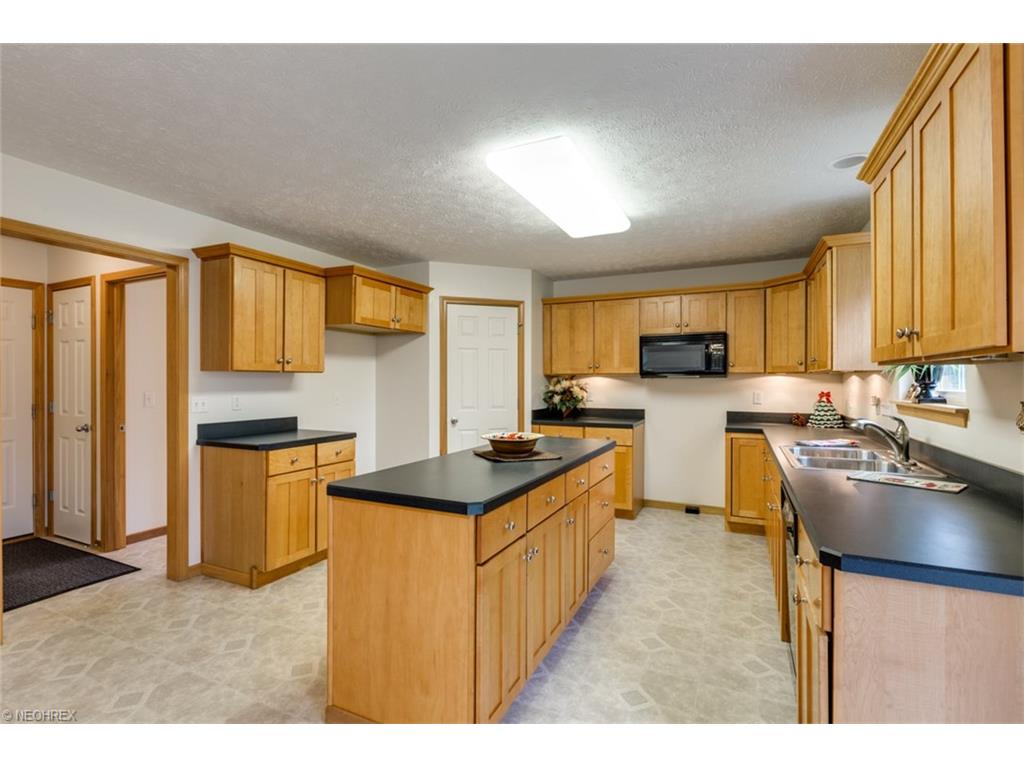4660 White Angel Dr, Perry OH 44081
