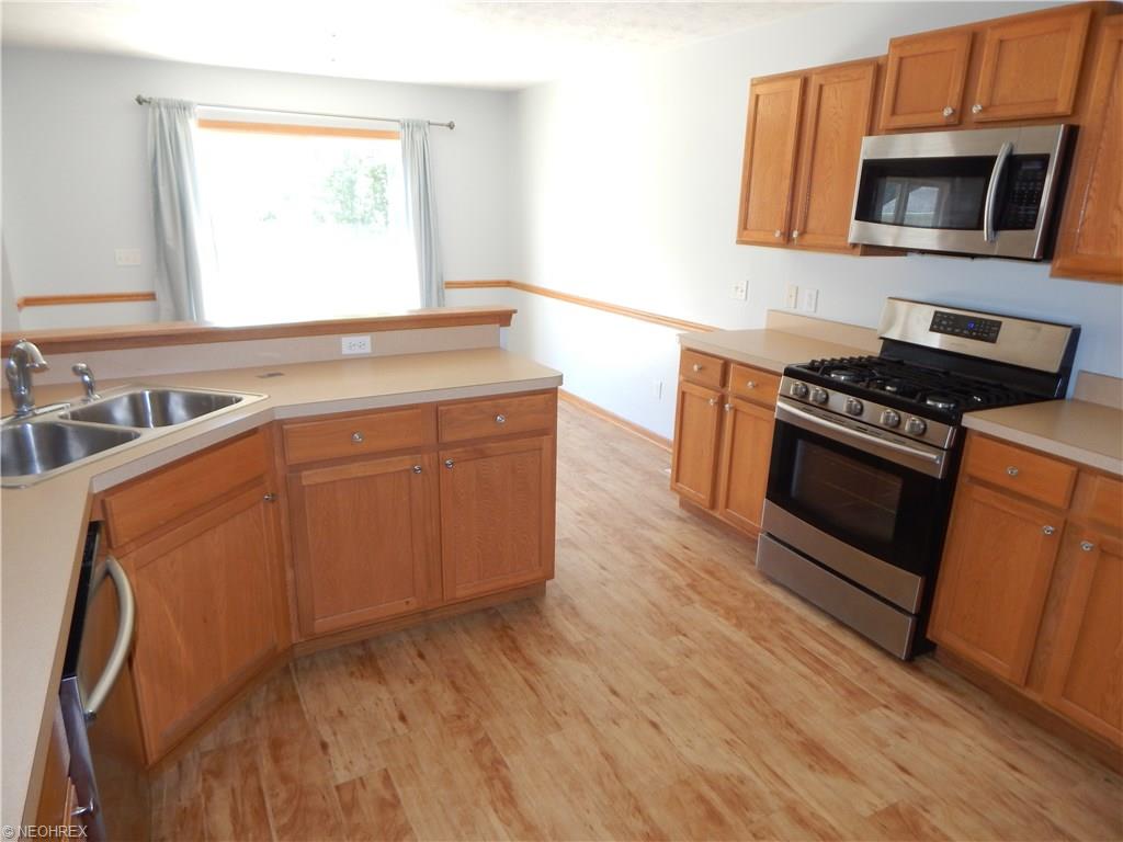 For Sale: 4292 Loreto Landing Dr Perry, OH 44081
