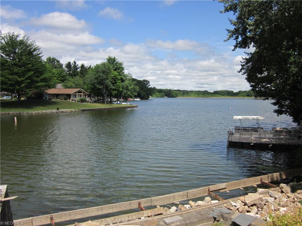For Sale: 413 Geneva Pt Rock Creek, OH 44084