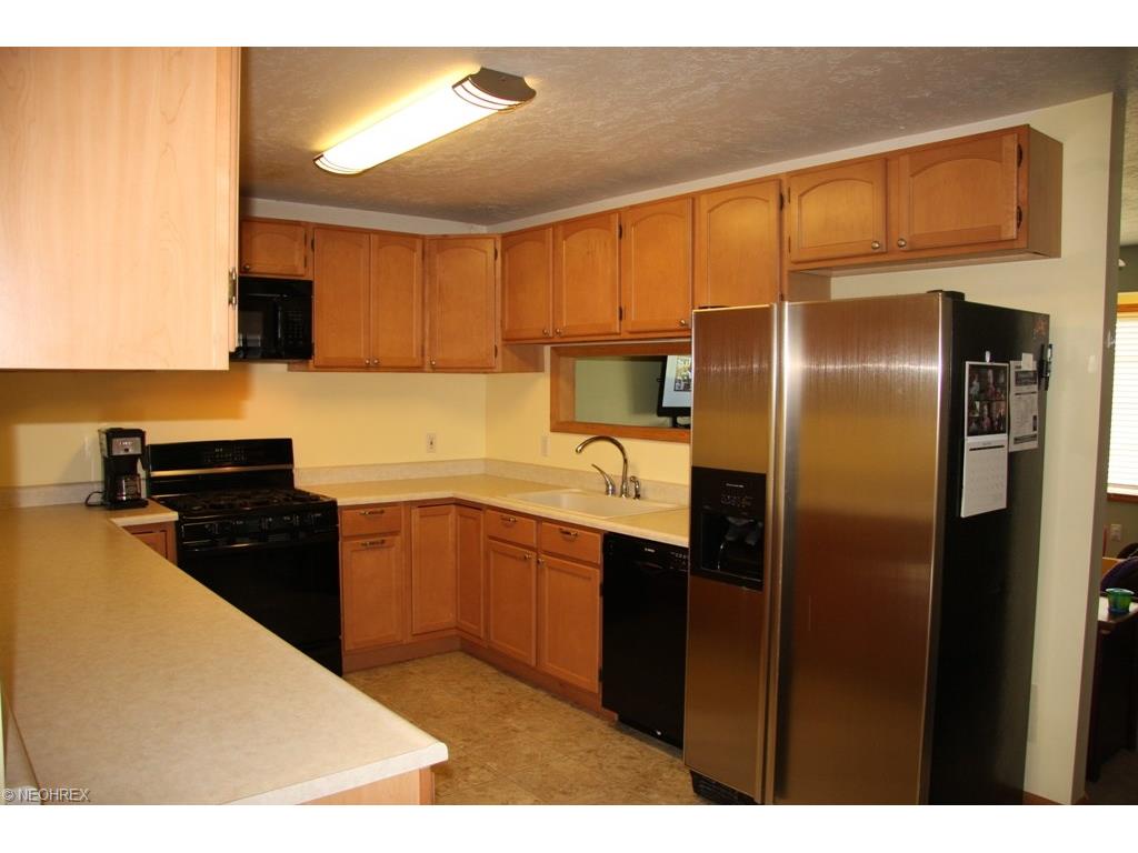 6181 Clay St, Thompson OH 44086