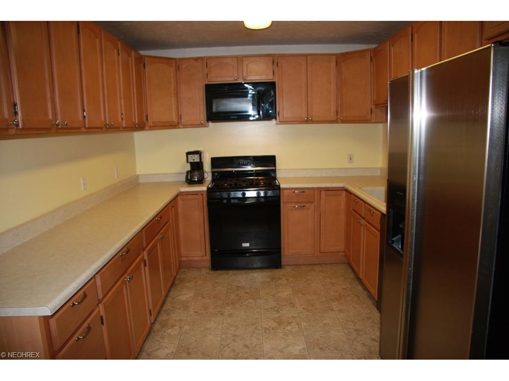 6181 Clay St, Thompson OH 44086