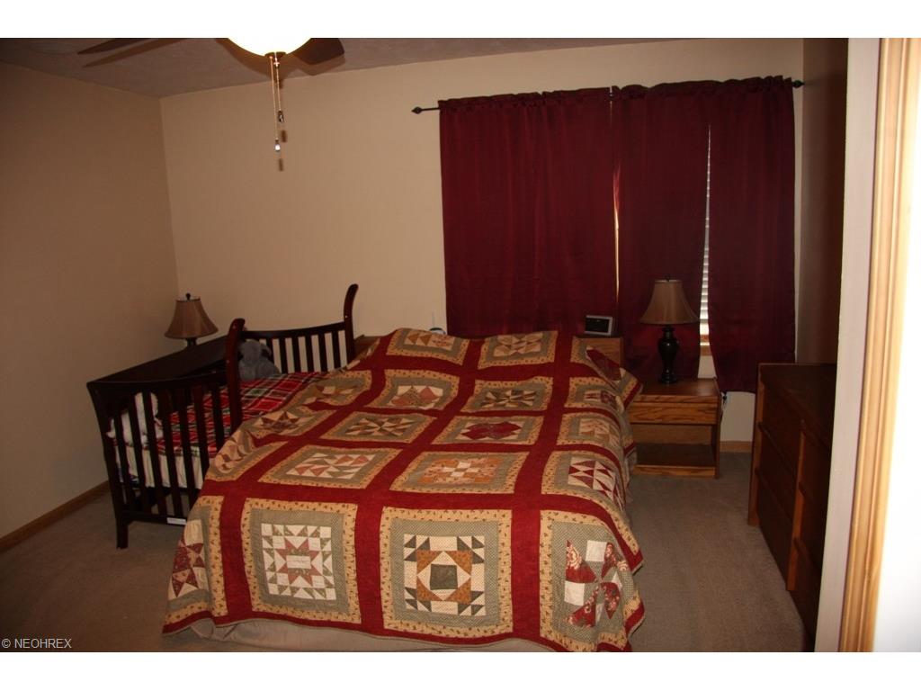 6181 Clay St, Thompson OH 44086