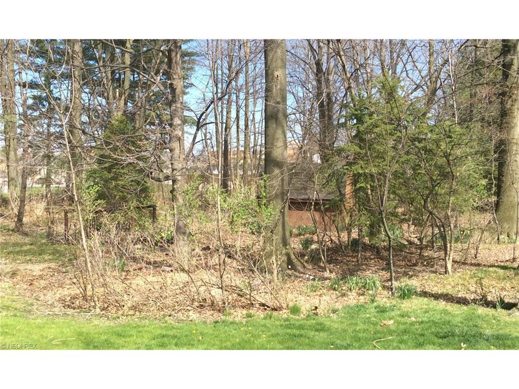 1787 Oaklawn Dr, Cleveland OH 44134