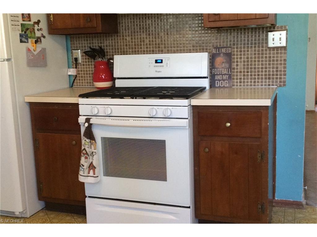 1787 Oaklawn Dr, Cleveland OH 44134