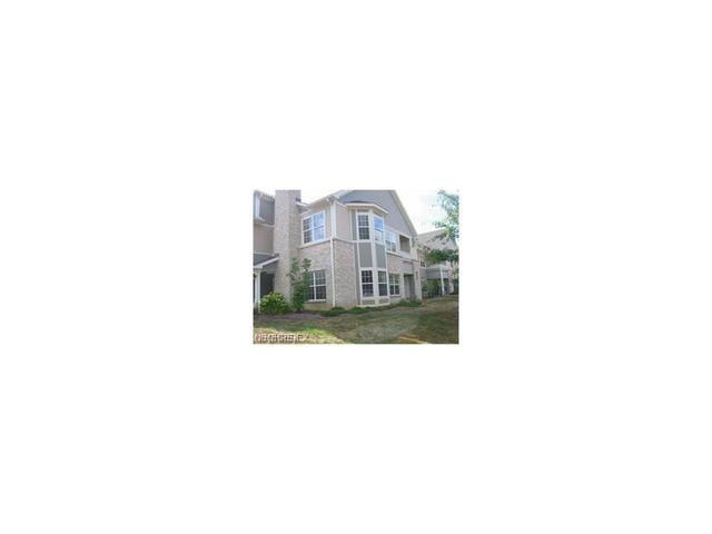 1581 Druid Dr