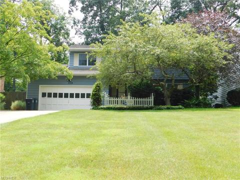 248 Idlewild St