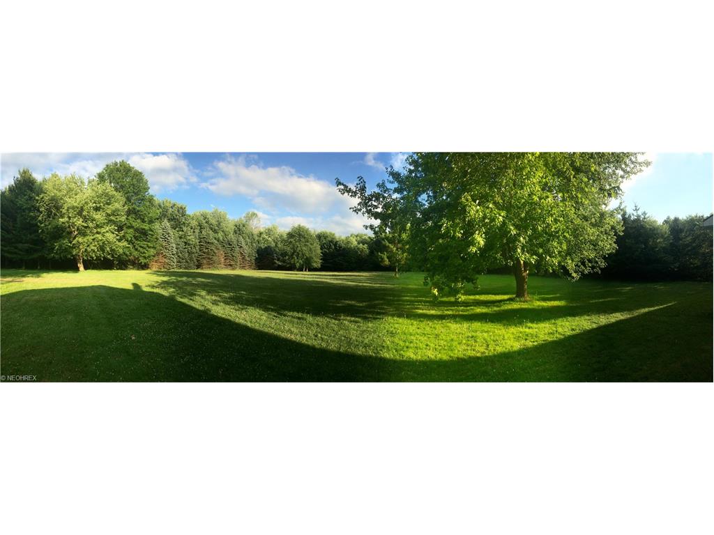For Sale: 3331 Eagle Creek Rd Leavittsburg, OH 44430