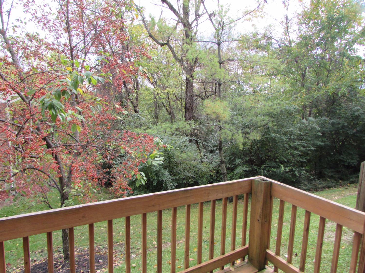 84 Winding Trails Ct