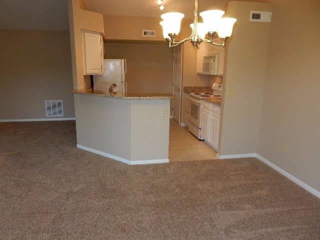 710 Castlegate Ln #303