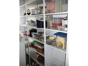 4385 Federal Rd