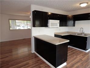 332 Lutz Dr