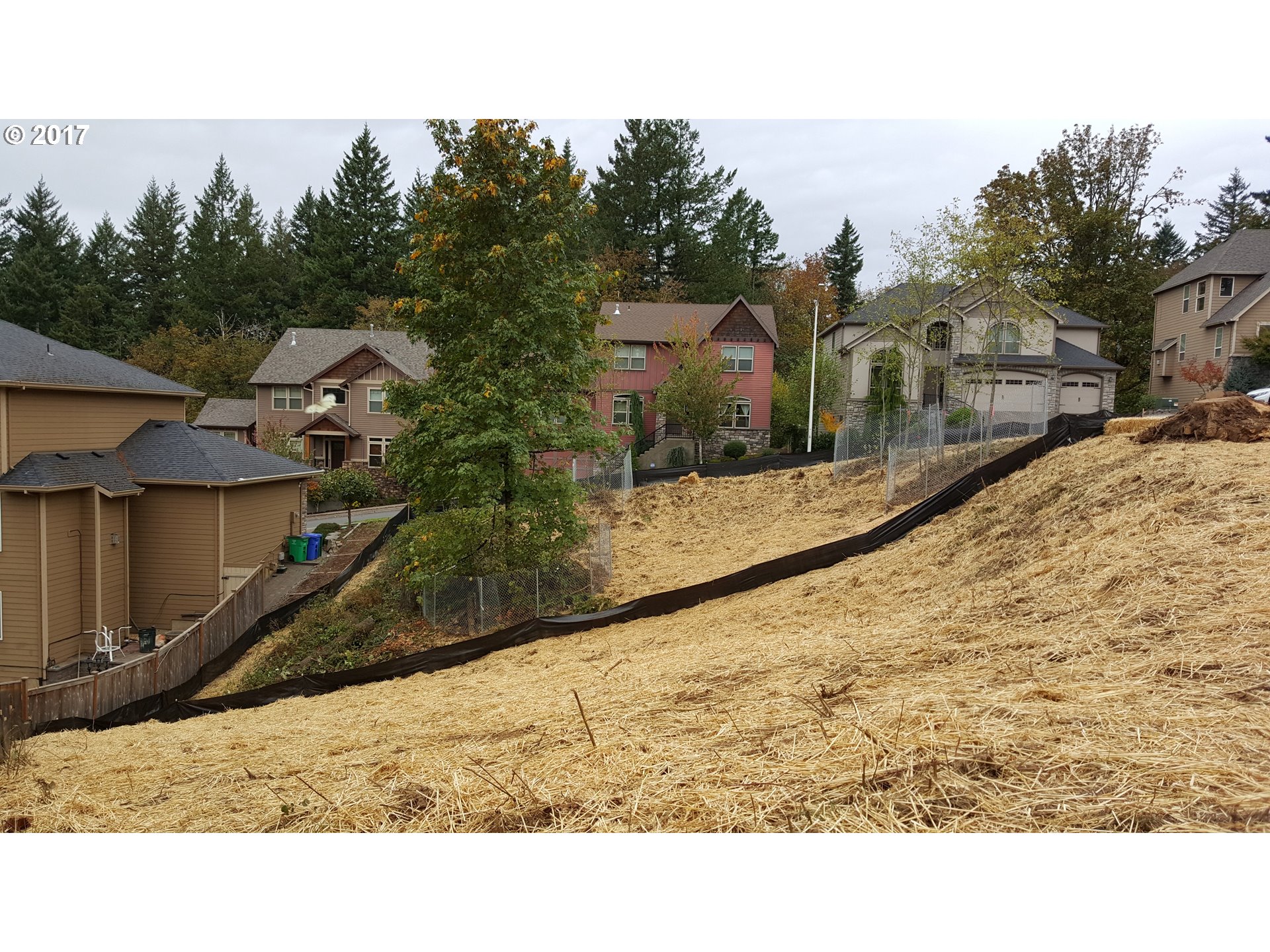 13239 SE Sunsprite Ct