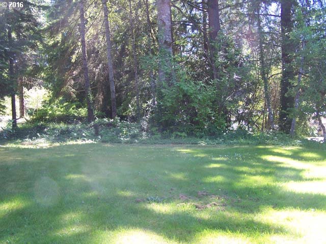 For Sale: 85313 Glenada Rd Florence, OR 97439