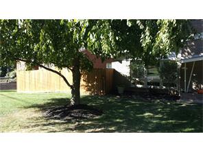 203 Ingrid Pl
