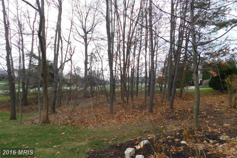 2305 Aronimink Cir
