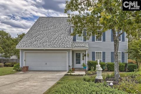104 Lion Ct