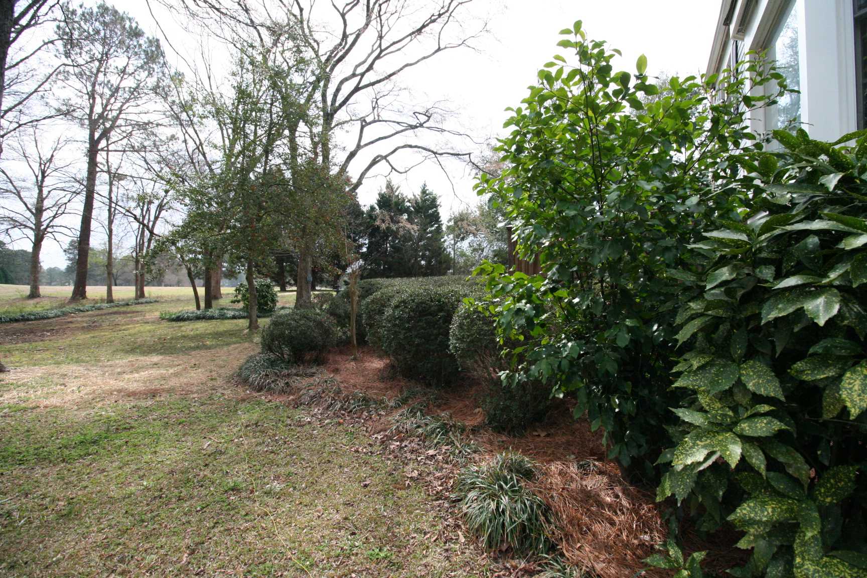 247 Walkbridge Way